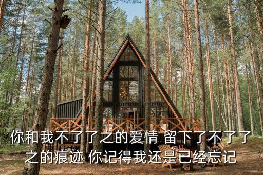 不了了之的愛情，不了了之的愛情這句歌詞是那首歌里面的好像前面還有幾個字