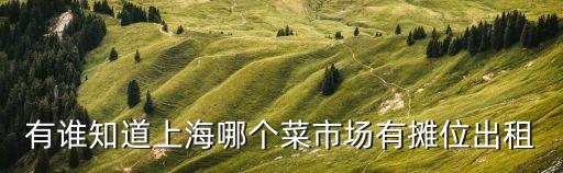 有誰(shuí)知道上海哪個(gè)菜市場(chǎng)有攤位出租