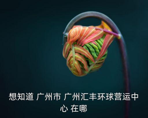 想知道 廣州市 廣州匯豐環(huán)球營運中心 在哪