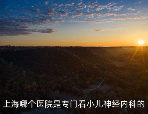 上海哪個(gè)醫(yī)院是專(zhuān)門(mén)看小兒神經(jīng)內(nèi)科的