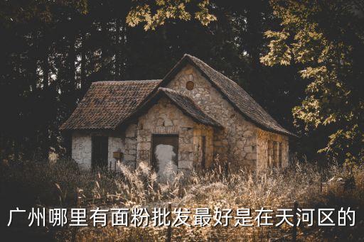 廣州哪里賣小麥粉，廣州哪里有賣山東半球面粉