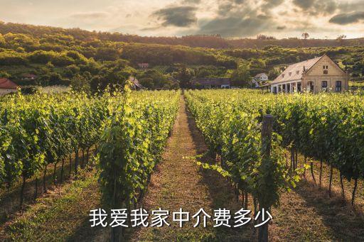 我愛我家中介費多少