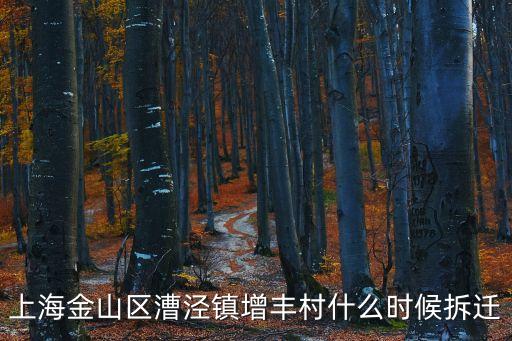 上海金山區漕涇鎮增豐村什么時候拆遷
