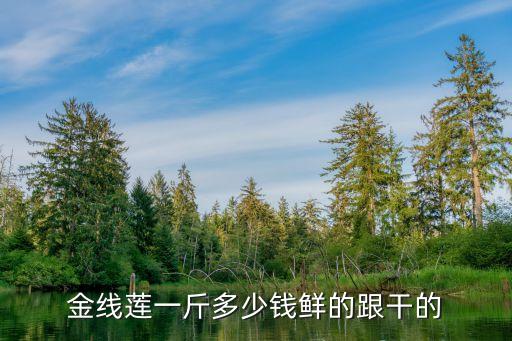 金線蓮價格，金線蓮一斤多少錢鮮的跟干的