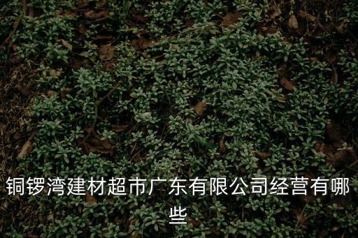 銅鑼灣建材超市廣東有限公司經營有哪些