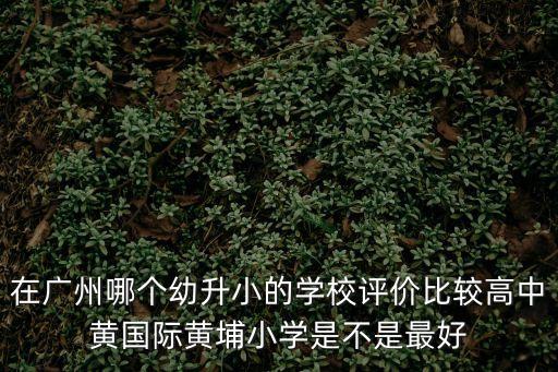 在廣州哪個(gè)幼升小的學(xué)校評(píng)價(jià)比較高中黃國際黃埔小學(xué)是不是最好