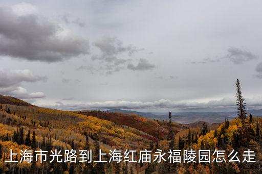 上海市光路51號，上海地鐵8號線市光路站確切地址在哪里