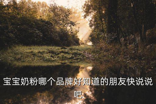 嬰兒奶粉哪個牌子好，嬰兒奶粉哪個牌子好嬰兒奶粉哪個牌子的好