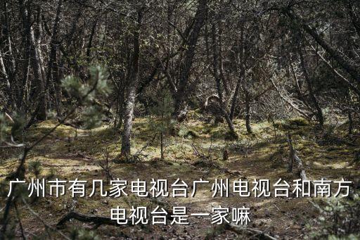廣州市有幾家電視臺廣州電視臺和南方電視臺是一家嘛