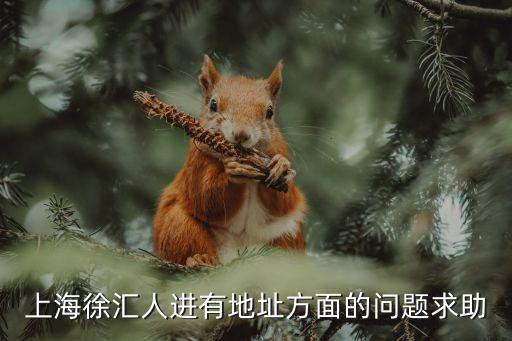 上海市漕寶路66號律所，上海徐匯人進有地址方面的問題求助