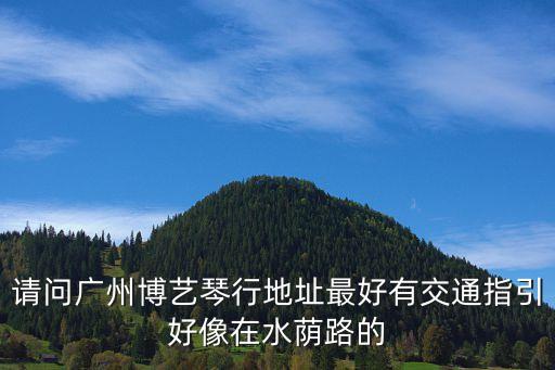 廣州花山鎮(zhèn)博藝琴，博藝琴行學學琴嗎