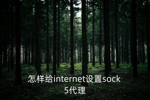 socks代理，用sock5代理上網步驟