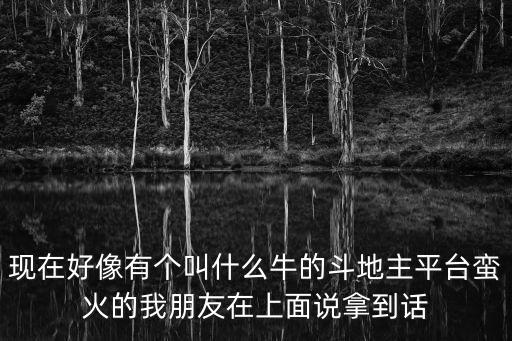 現(xiàn)在好像有個(gè)叫什么牛的斗地主平臺(tái)蠻火的我朋友在上面說(shuō)拿到話