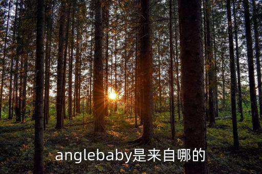 anglebaby是來自哪的