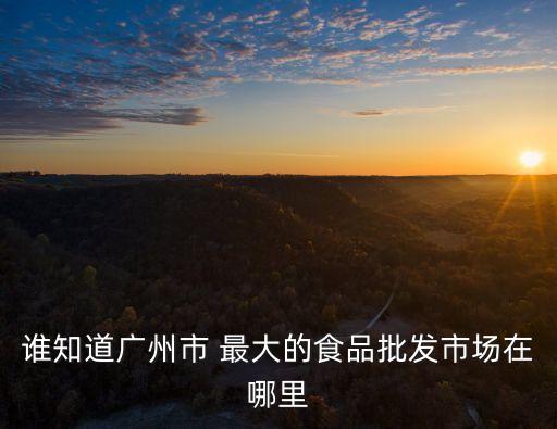 誰知道廣州市 最大的食品批發(fā)市場(chǎng)在哪里