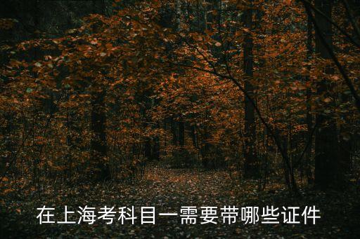 在上海考科目一需要帶哪些證件