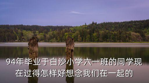 94年畢業于白沙小學六一班的同學現在過得怎樣好想念我們在一起的