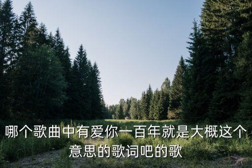 愛你一百年，愛你一百年用數(shù)字怎么表示