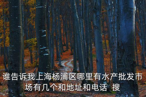 上海市江陽(yáng)兆路水產(chǎn)市場(chǎng)屬于哪個(gè)區(qū)，上海市寶山區(qū)江陽(yáng)水產(chǎn)市場(chǎng)搬遷近況
