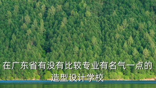 廣州美術造型，廣州美術學院造型和設計考試內容分別是什么