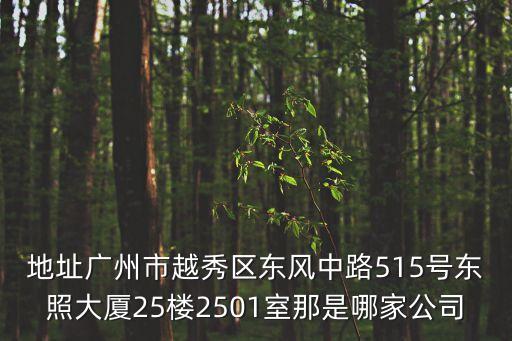 地址廣州市越秀區東風中路515號東照大廈25樓2501室那是哪家公司