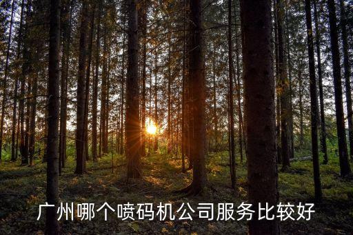 廣州哪個噴碼機公司服務比較好