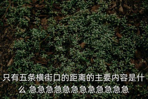 只有五條橫街口的距離的主要內(nèi)容是什么 急急急急急急急急急急急急