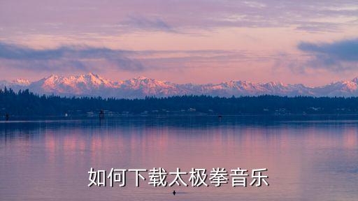 太極拳網，太極拳視頻上哪找