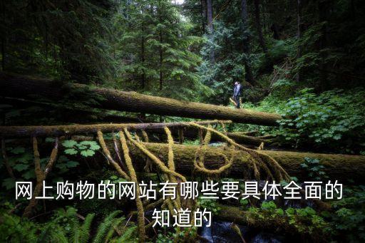 網上購物的網站有哪些要具體全面的 知道的