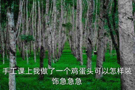 手工課上我做了一個雞蛋頭可以怎樣裝飾急急急