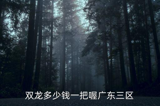 廣州二手11年雙龍雷斯特報(bào)價(jià)，你好丶我有一部韓國(guó)進(jìn)口車韓國(guó)雙龍轎車?yán)姿固刎?年了開了10