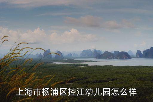 上海市楊浦區(qū)控江幼兒園怎么樣，上海楊浦有哪些幼兒園比較好嗎