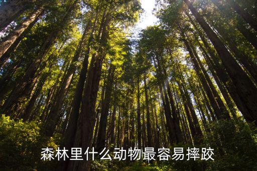 森林里的，森林里什么動物最容易摔跤