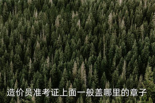造價員準考證上面一般蓋哪里的章子