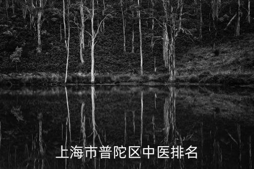 上海市 區(qū)縣名醫(yī)，上海名中醫(yī)是誰
