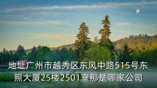 地址廣州市越秀區(qū)東風(fēng)中路515號東照大廈25樓2501室那是哪家公司