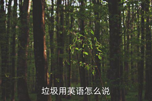 垃圾用英語怎么說