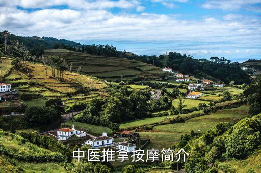 中醫推拿按摩簡介