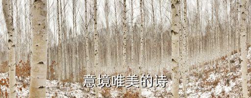 意境詩句，求有氣勢和意境的古詩