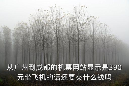 從廣州到成都的機票網站顯示是390元坐飛機的話還要交什么錢嗎
