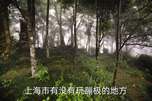 上海市蹦床公園地址，上海市有沒有玩蹦極的地方