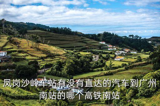 鳳崗沙嶺車站有沒有直達(dá)的汽車到廣州南站的哪個高鐵南站