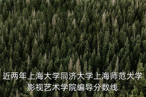 2019上海市編導平均分，上海的大學影視編導錄取分數線是多少具體點