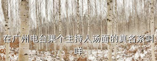 廣州電視臺(tái)新聞李欣，在廣州電臺(tái)果個(gè)主持人湯面的真名系叫咩