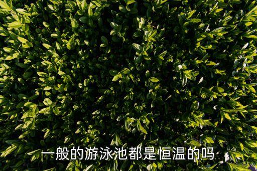 廣州紙廠游泳場是恒溫的嗎，紙廠泳場怎么樣