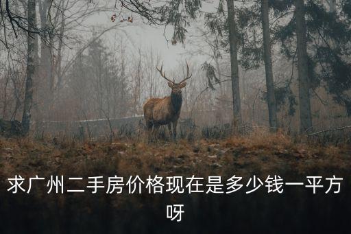 求廣州二手房?jī)r(jià)格現(xiàn)在是多少錢一平方呀