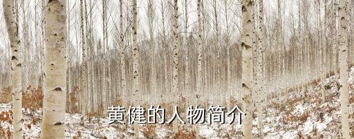 廣州廣播黃健導演，黃健是不是一個丑人