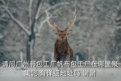 廣州帆布書包，廣州哪里買帆布書包
