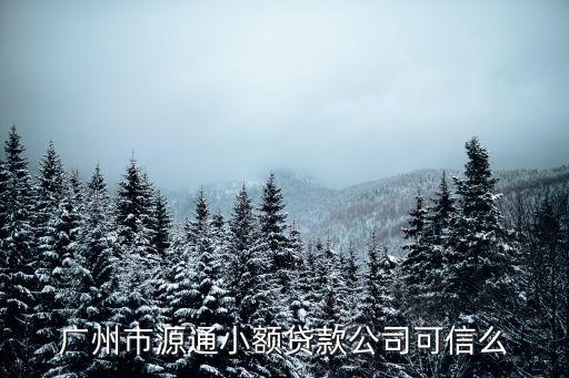 廣州入駐于明遠淘小鋪靠譜嗎，在廣州的商家說可以在他那裝正版軟件靠譜嗎