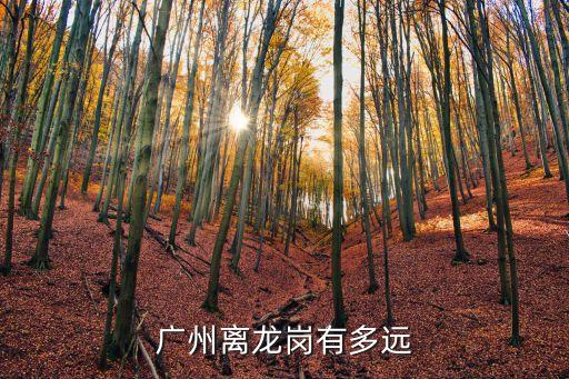 廣州至深圳龍崗區多少公里，廣州離深圳龍崗多遠